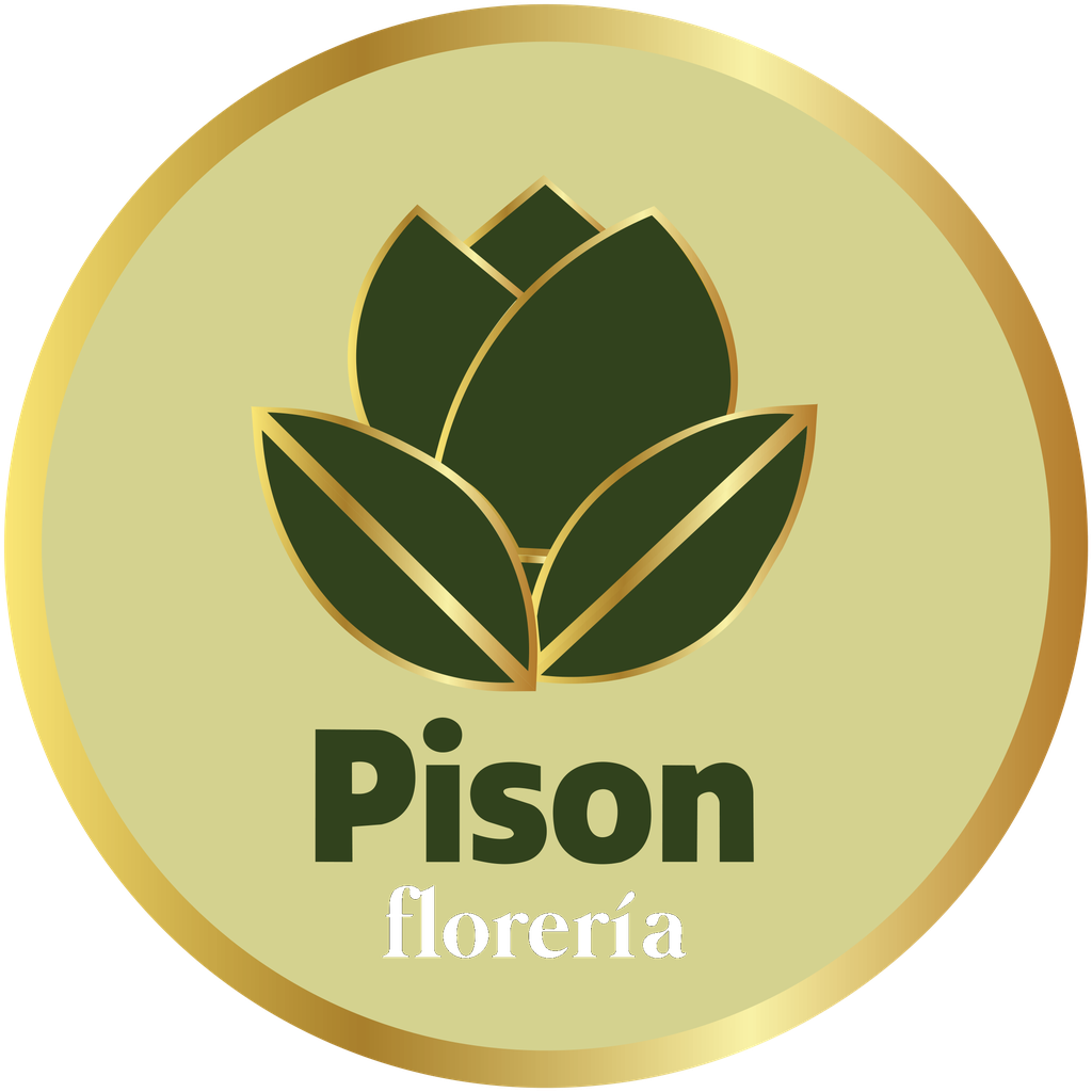Pison Florería