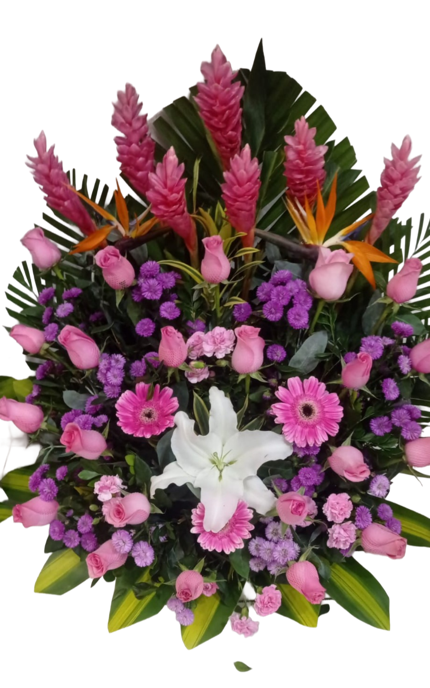 Corazón Exótico
