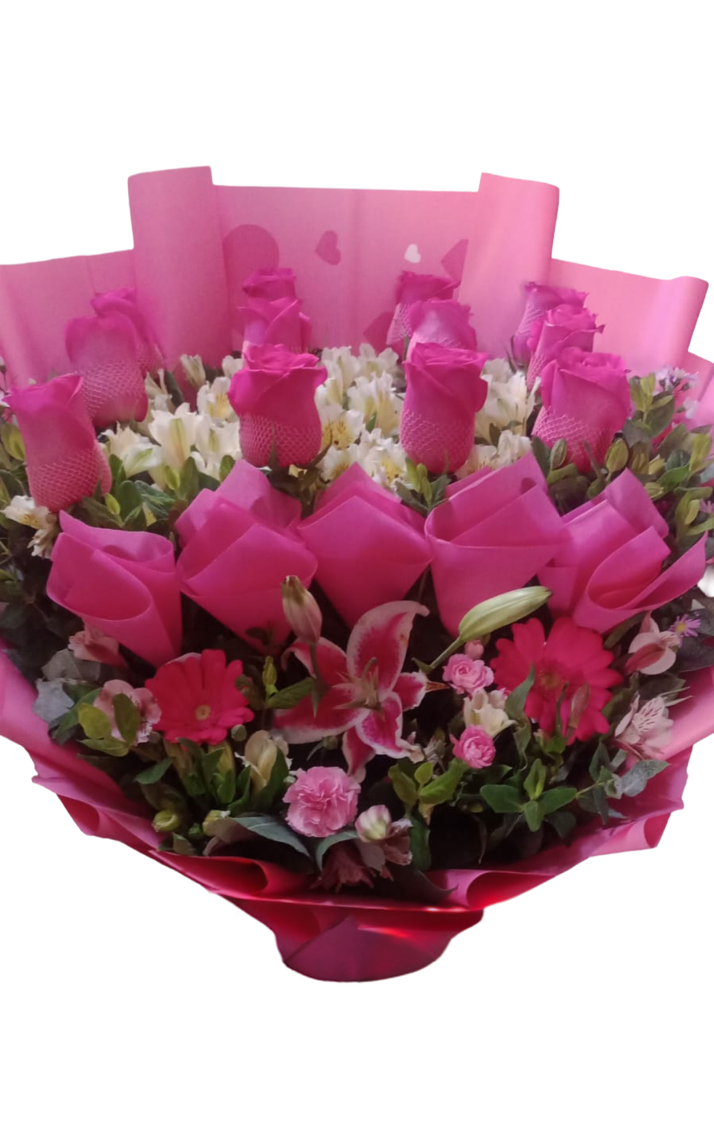 Encanto Fucsia