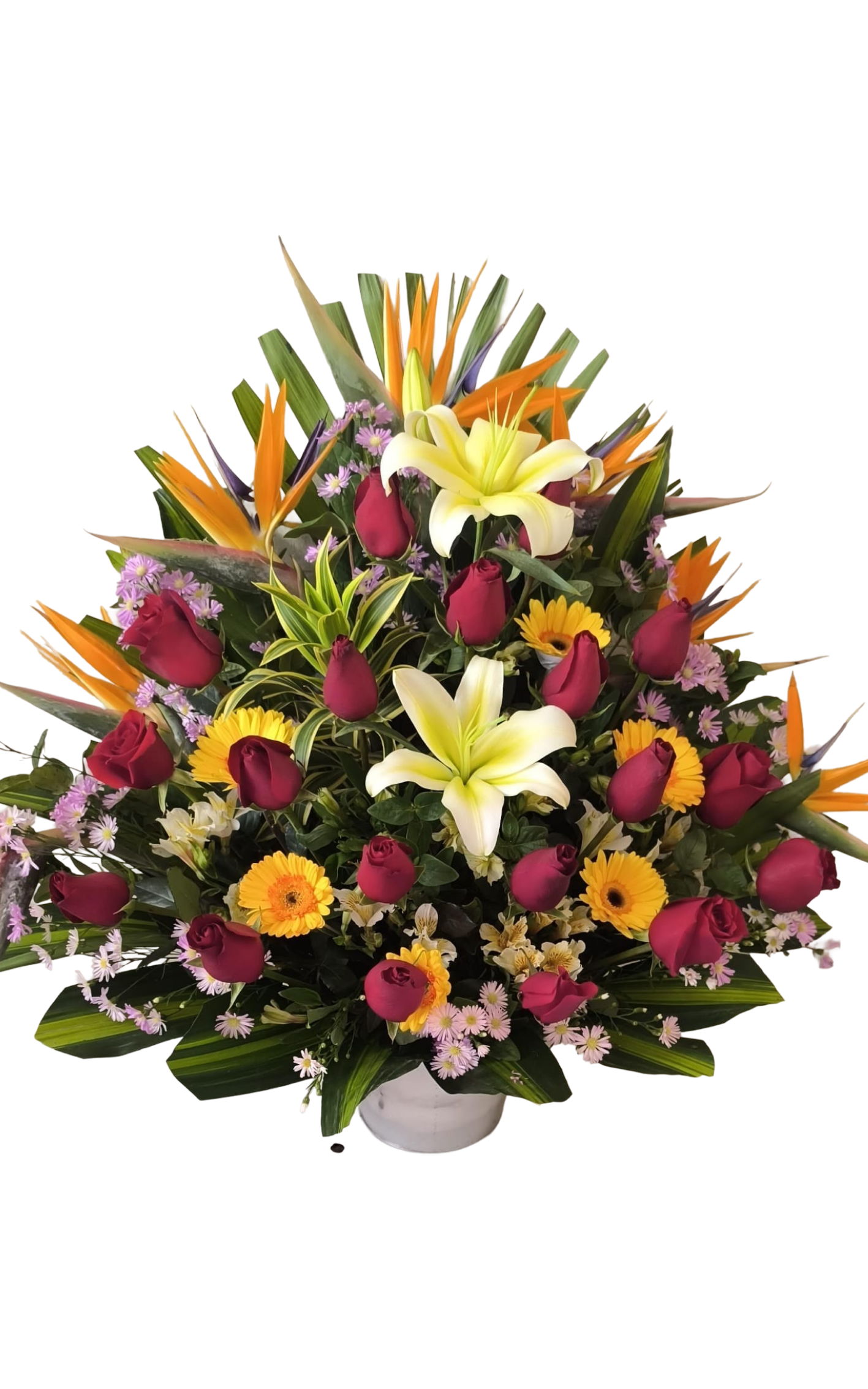 Canto Tropical del Sol