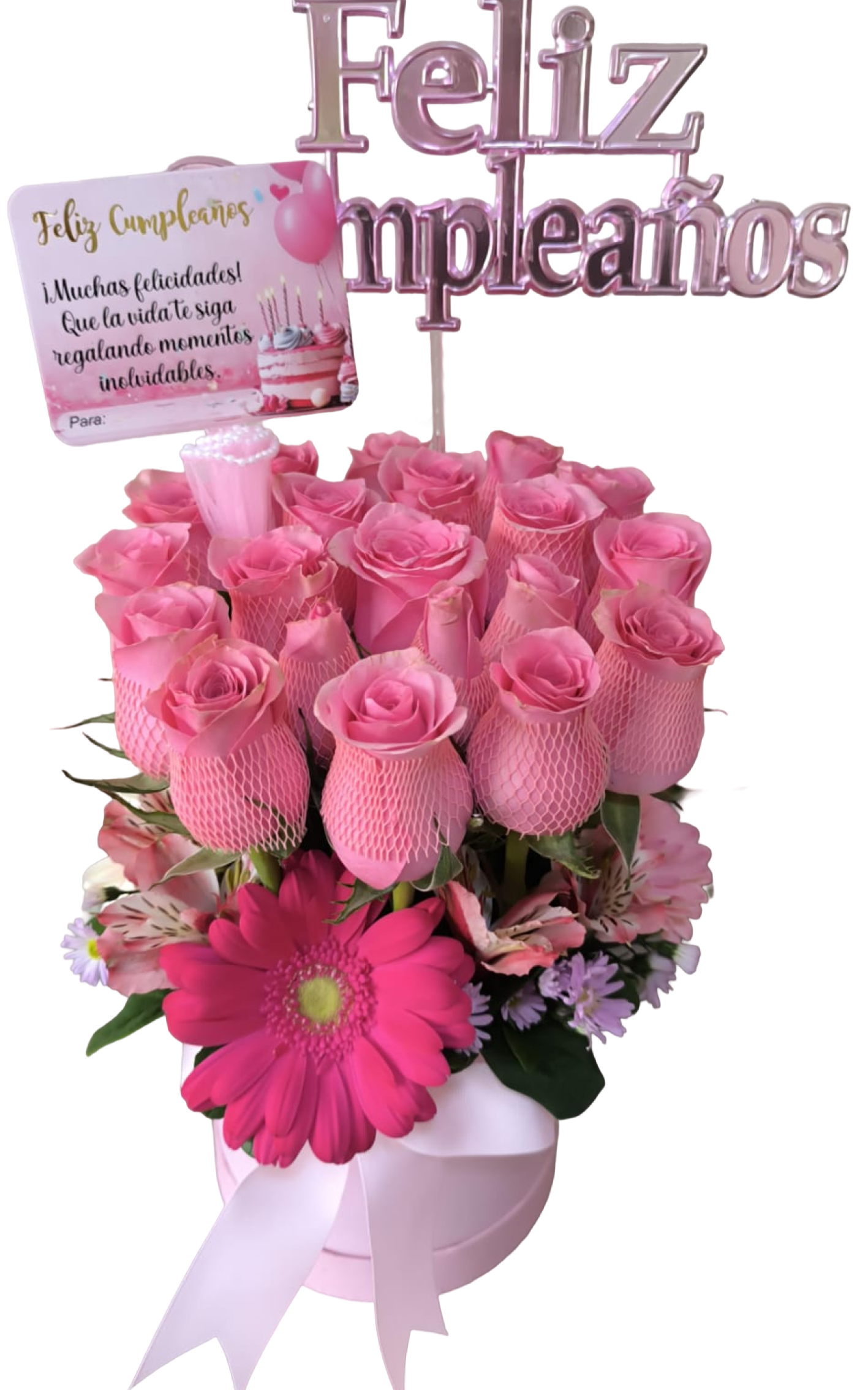 Celebración Rosa
