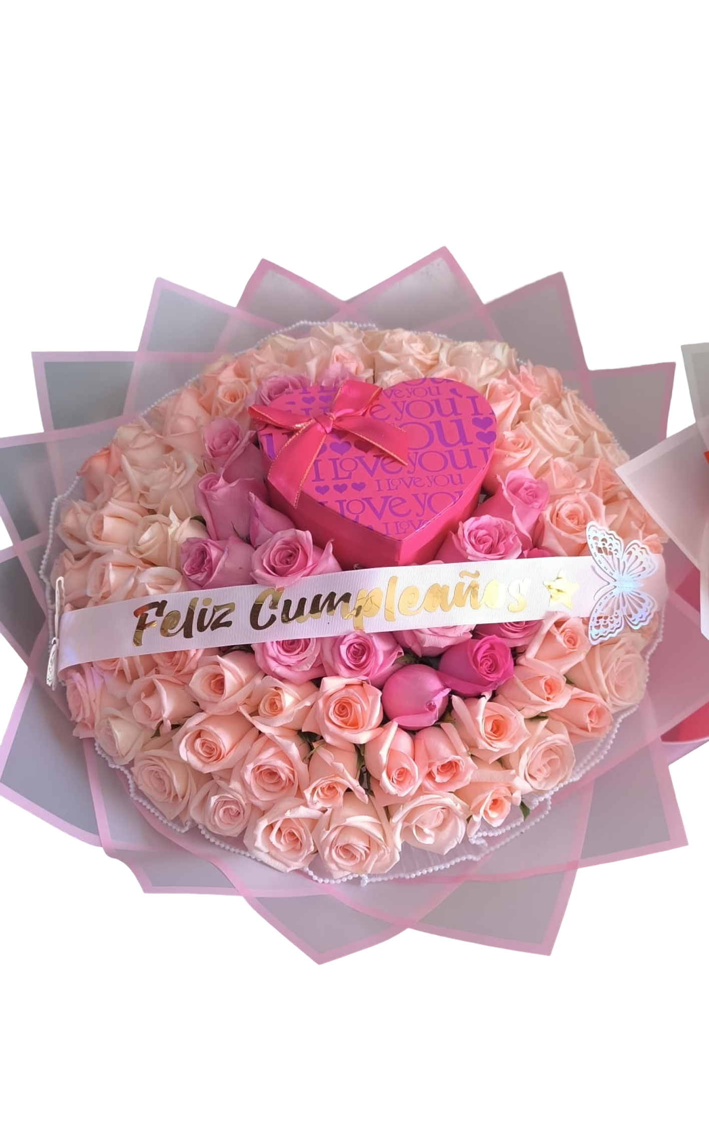 Corazón de Princesa