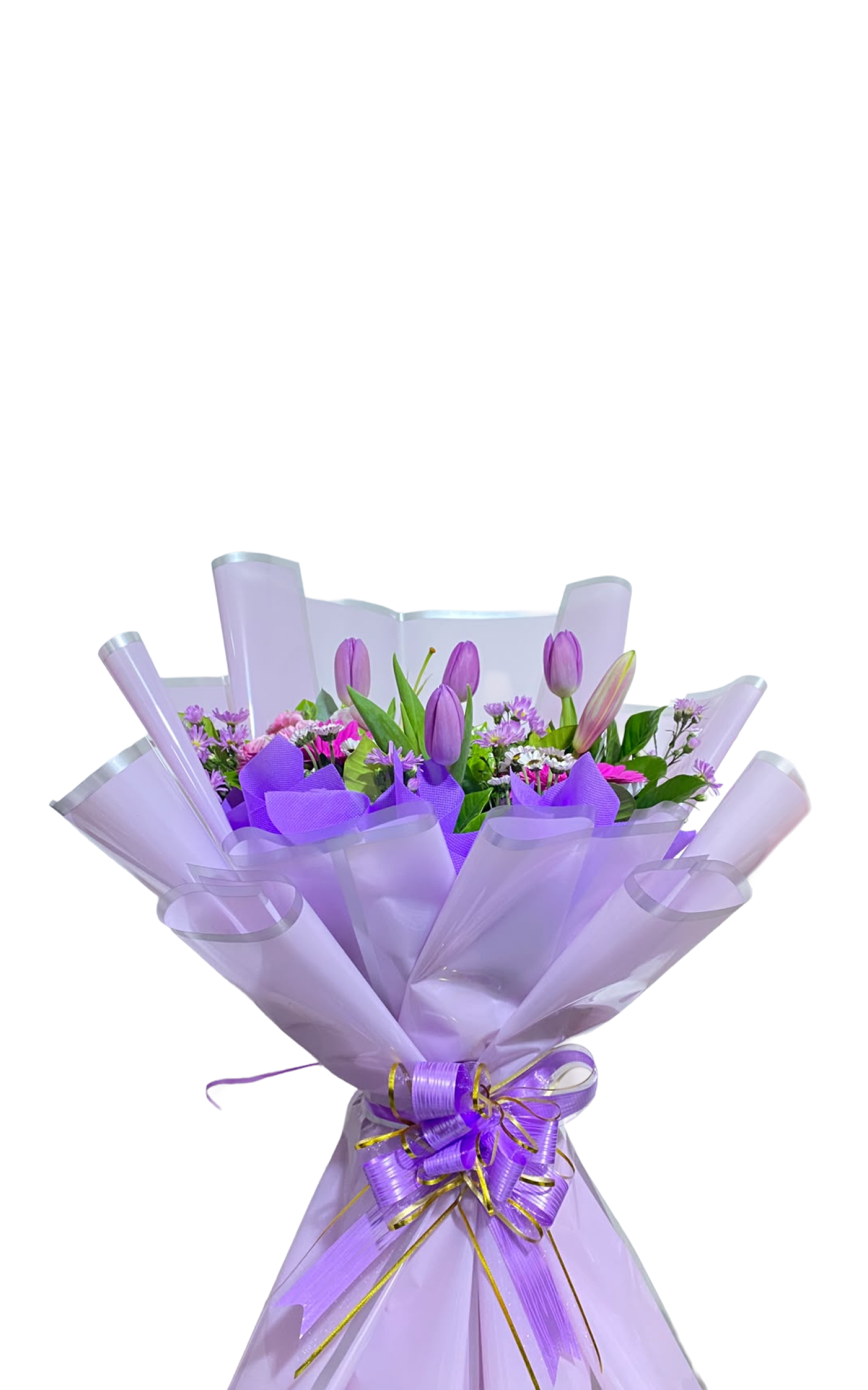Pureza Rosa